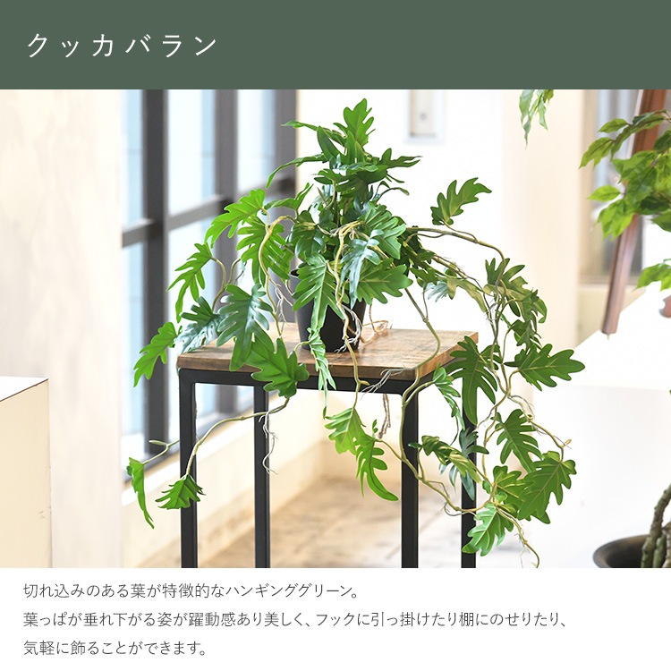 クッカバラン ハンギングポット | 商品種別,グリーン,フェイクグリーン