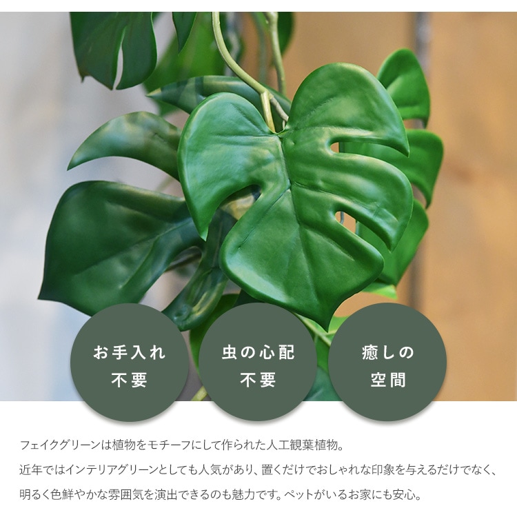 ヒメモンス ハンギングポット | 商品種別,グリーン,フェイクグリーン