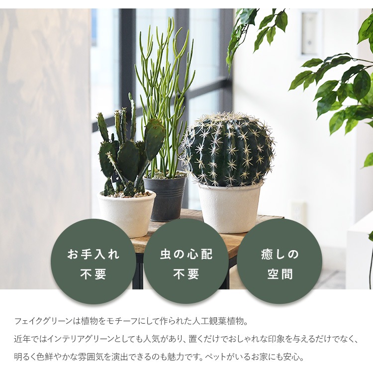 多肉植物 オプンティア ポット | 商品種別,グリーン,フェイクグリーン