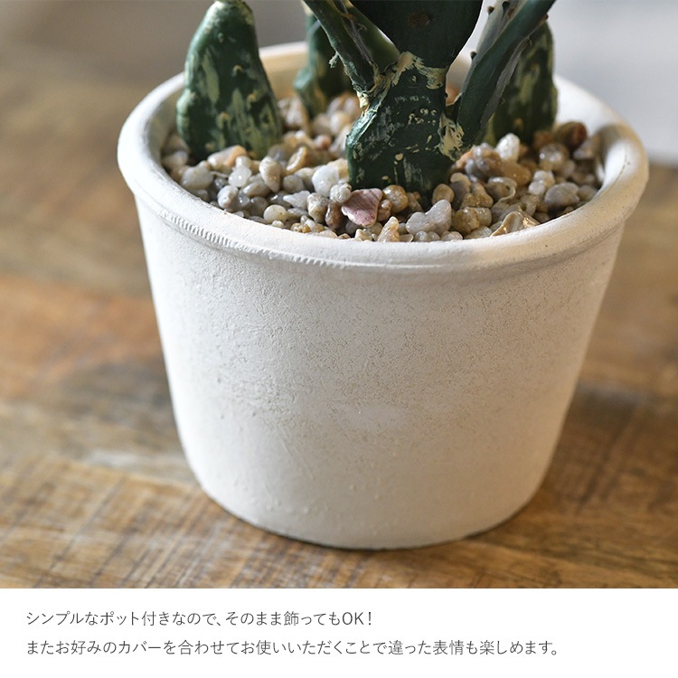 多肉植物 オプンティア ポット | 商品種別,グリーン,フェイクグリーン