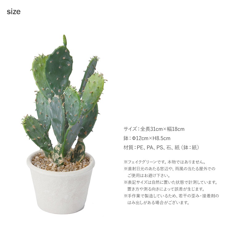 多肉植物 オプンティア ポット | 商品種別,グリーン,フェイクグリーン