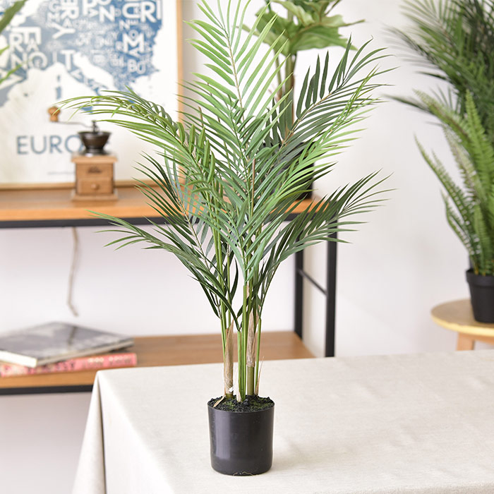 Brown. ブラウン フェイクグリーン アレカヤシ ポット 70 | 商品種別
