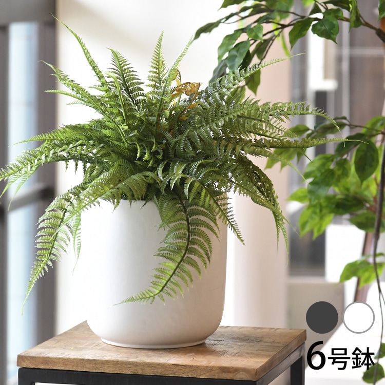 �����ݥåȥ��С� ��22cm��ľ��20cm�ޤǤ�ȭ�б���  �ݥåȥ��С� ȭ���С� ����ץ� ƫ�� �ִ� �̲� �ʥ����� ��Υȡ��� �� ��Ź�ˤ�  