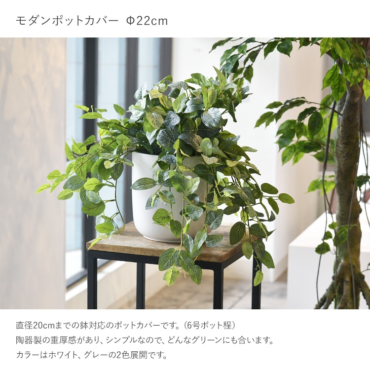 �����ݥåȥ��С� ��22cm��ľ��20cm�ޤǤ�ȭ�б���  �ݥåȥ��С� ȭ���С� ����ץ� ƫ�� �ִ� �̲� �ʥ����� ��Υȡ��� �� ��Ź�ˤ�  