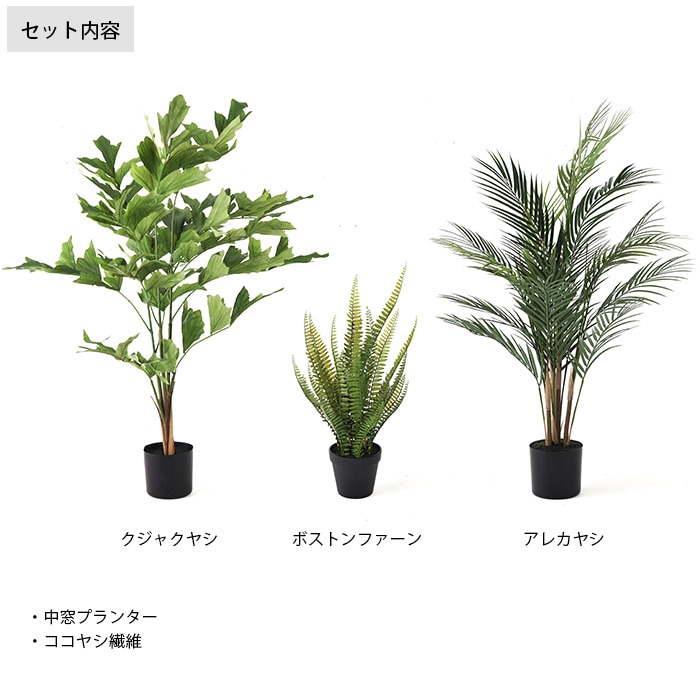 Brown. ブラウン フェイクグリーンセット 中窓トールプランター×ヤシ