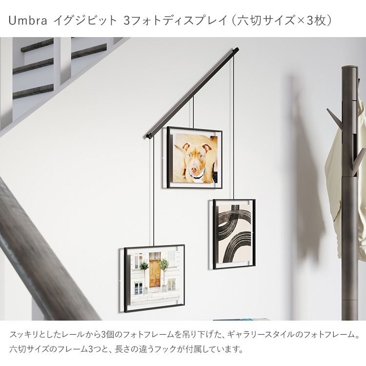 Umbra ֥ ӥå 3եȥǥץ쥤 810  եȥե졼 ̿Ω ϻ ɳݤ ߤ겼 ʣ   ץ쥼 ե  ӥ   ̲ ƥꥢ  