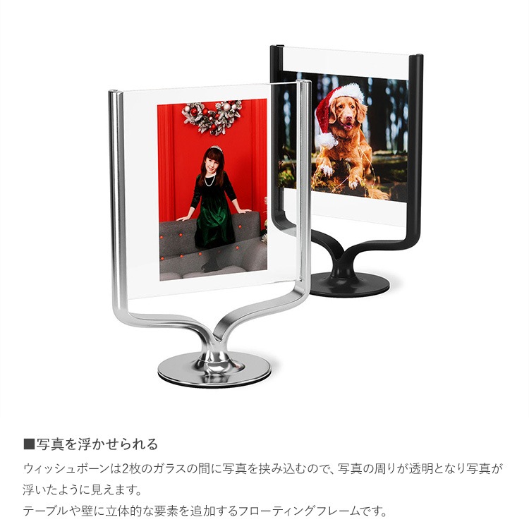 Umbra ֥ åܡ եȥǥץ쥤   饹ե졼 2L 2 ξ   ץ쥼 ե  ӥ  å  ̲ ƥꥢ  