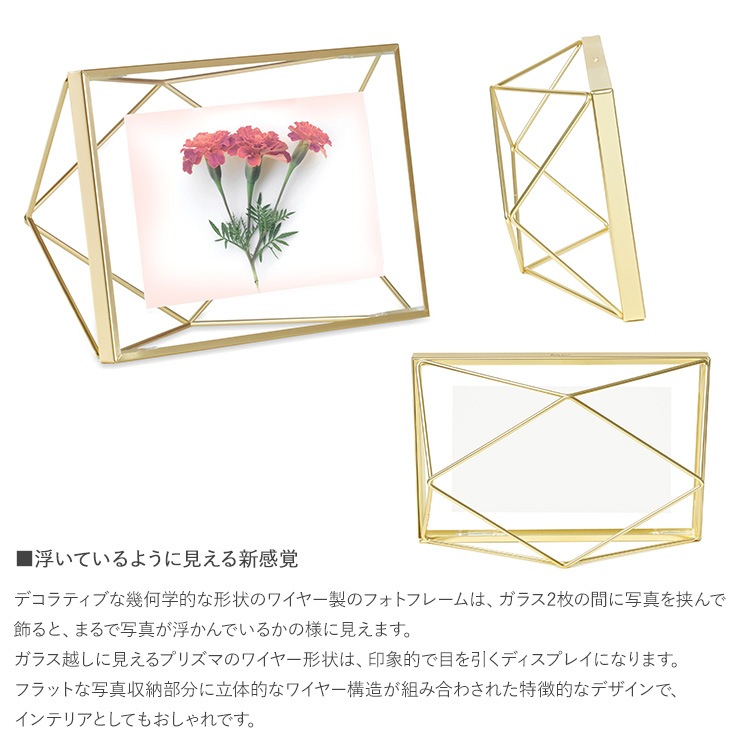 Umbra ֥ ץꥺ եȥǥץ쥤 46  եȥե졼 ̿Ω KGȽ  ɳݤ   ץ쥼 ե  ӥ  å  ̲ ƥꥢ  