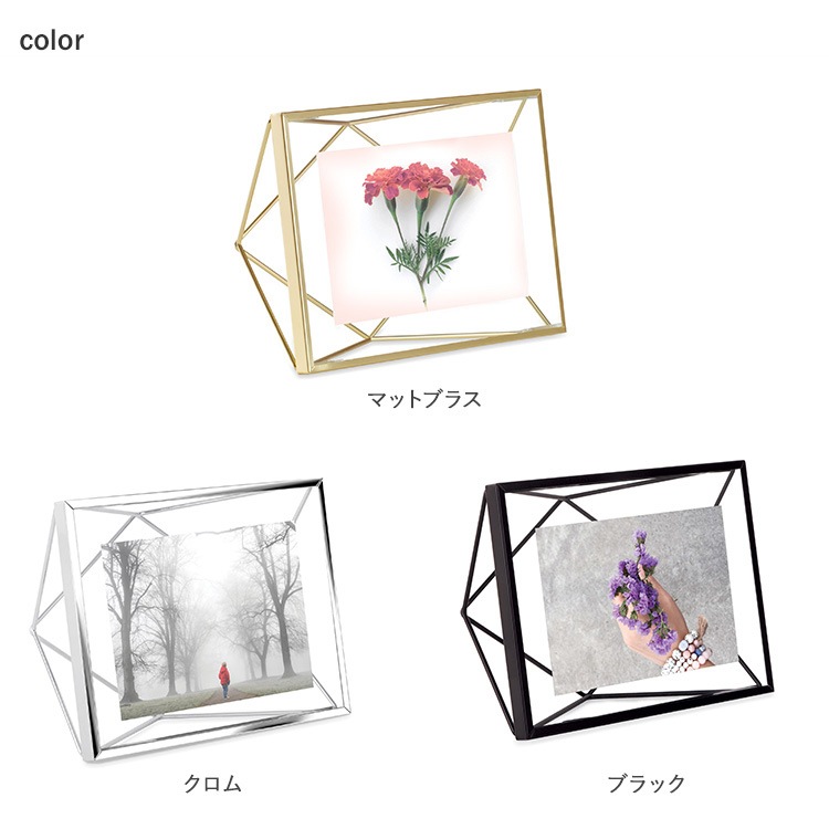 Umbra ֥ ץꥺ եȥǥץ쥤 46  եȥե졼 ̿Ω KGȽ  ɳݤ   ץ쥼 ե  ӥ  å  ̲ ƥꥢ  