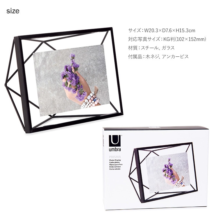 Umbra ֥ ץꥺ եȥǥץ쥤 46  եȥե졼 ̿Ω KGȽ  ɳݤ   ץ쥼 ե  ӥ  å  ̲ ƥꥢ  