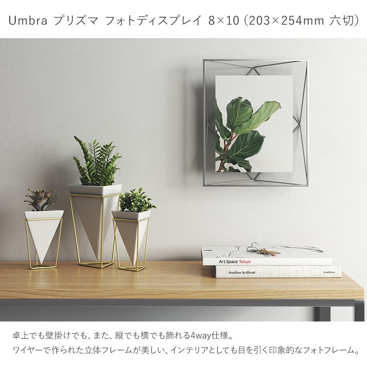 Umbra ֥ ץꥺ եȥǥץ쥤 810  եȥե졼 ̿Ω ϻ ɳݤ    ץ쥼 ե  ӥ  å  ̲ ƥꥢ  