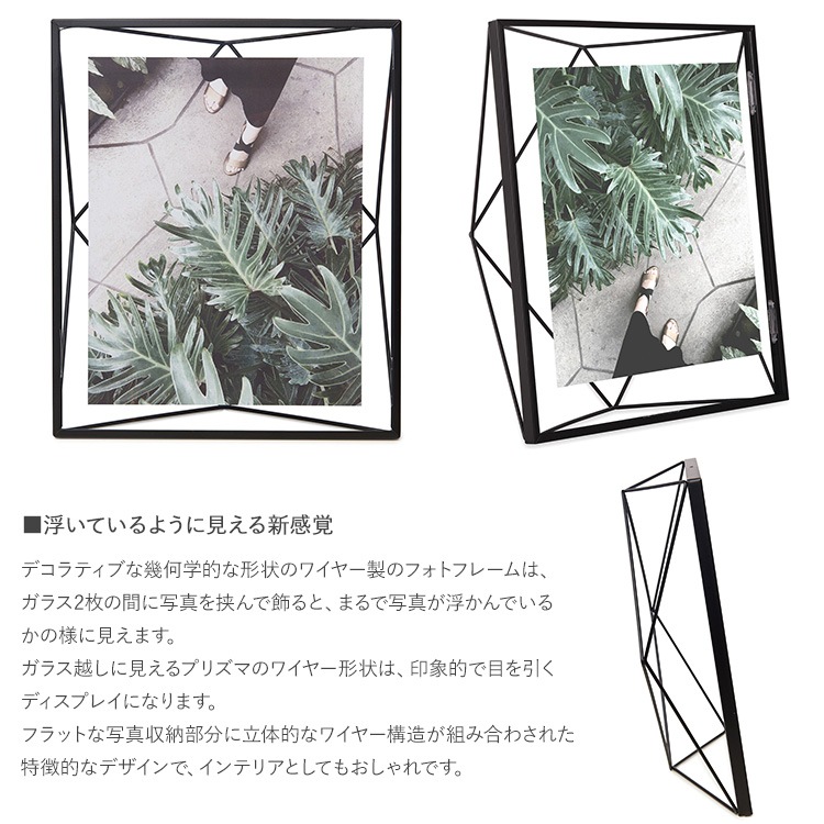 Umbra ֥ ץꥺ եȥǥץ쥤 810  եȥե졼 ̿Ω ϻ ɳݤ    ץ쥼 ե  ӥ  å  ̲ ƥꥢ  