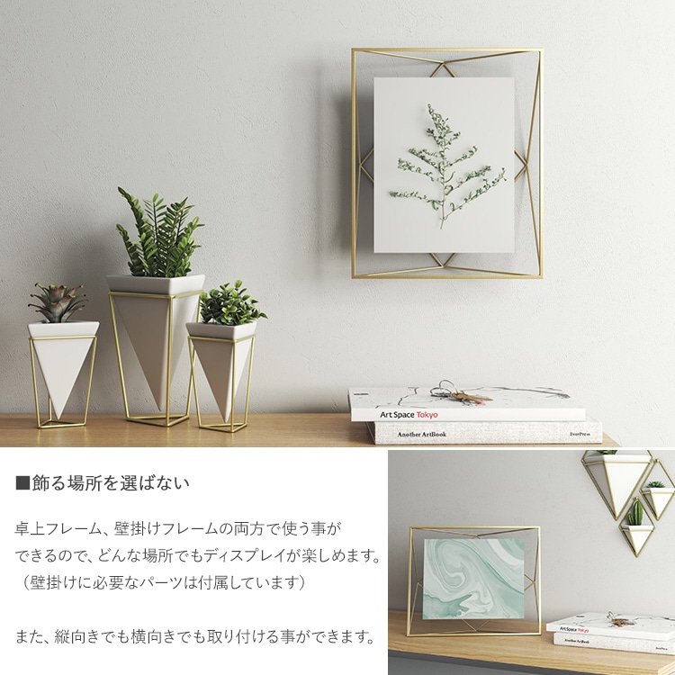 Umbra ֥ ץꥺ եȥǥץ쥤 810  եȥե졼 ̿Ω ϻ ɳݤ    ץ쥼 ե  ӥ  å  ̲ ƥꥢ  