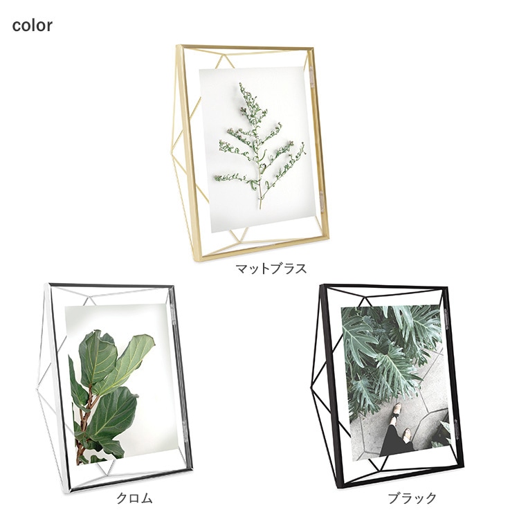 Umbra ֥ ץꥺ եȥǥץ쥤 810  եȥե졼 ̿Ω ϻ ɳݤ    ץ쥼 ե  ӥ  å  ̲ ƥꥢ  