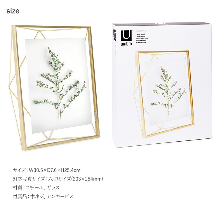 Umbra ֥ ץꥺ եȥǥץ쥤 810  եȥե졼 ̿Ω ϻ ɳݤ    ץ쥼 ե  ӥ  å  ̲ ƥꥢ  