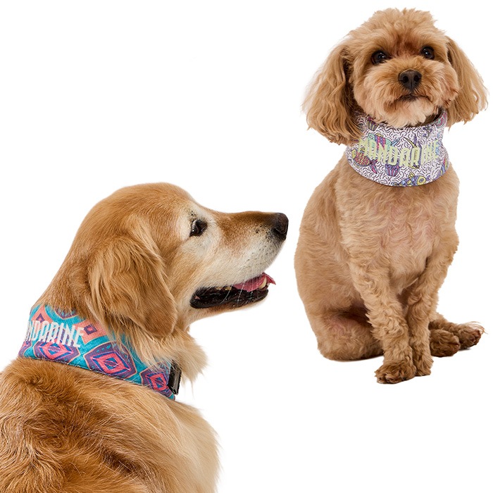 プラトニック・プラネッツ 　タラチネ・ドリーム・マイン　雪舟えま タラチネ・ドリーム・マイン | 雪舟えま |本 | 通販 | Amazon