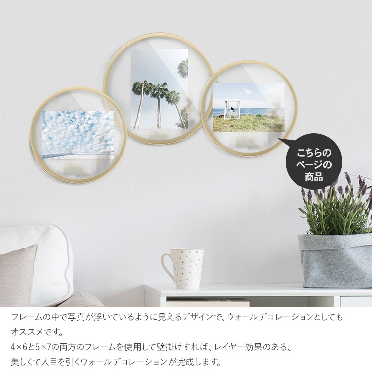 Umbra ֥ ե˥ƥ եȥǥץ쥤 46  ɳݤ KGȽ  ǥץ쥤 ץ쥼 ե  ӥ  å  ̲ ƥꥢ  