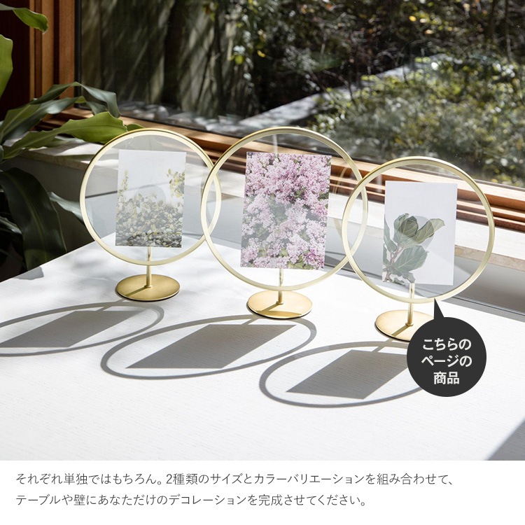 Umbra ֥ ե˥ƥ եȥǥץ쥤 46  ɳݤ KGȽ  ǥץ쥤 ץ쥼 ե  ӥ  å  ̲ ƥꥢ  