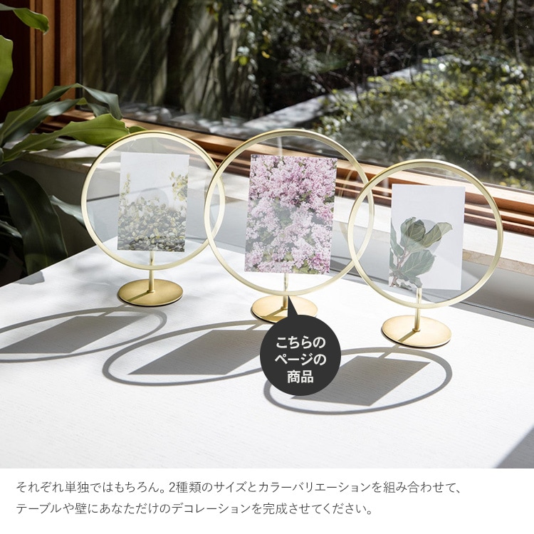 Umbra ֥ ե˥ƥ եȥǥץ쥤 57  ɳݤ 2L  ǥץ쥤 ץ쥼 ե  ӥ  å  ̲ ƥꥢ  