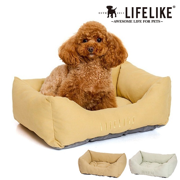  LIFELIKE �饤�ե饤���ĥ��륹�������٥å�