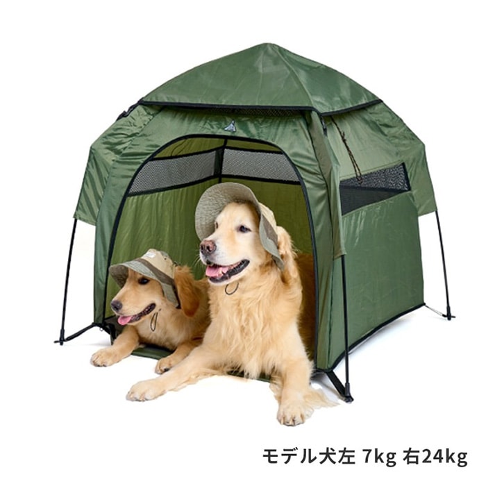LIFELIKE ライフライク LIFELIKE プチヴィラテント | 商品種別,ペット