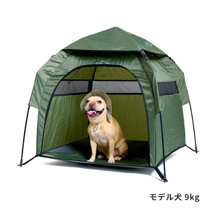 EARTHRAGZ ラグ　アウトドア　キャンプ 犬と木のデザイン LIFELIKE ライフライク LIFELIKE プチヴィラテント | 商品種別,ペット