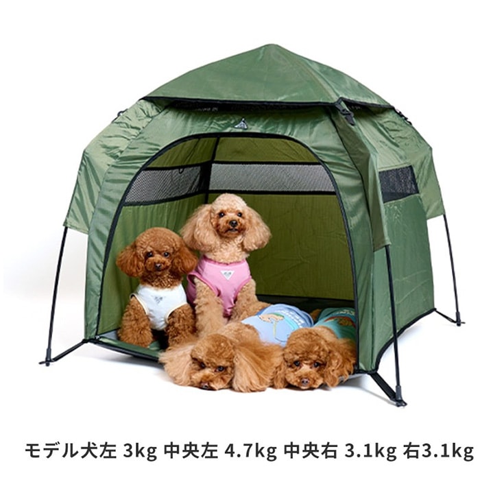 LIFELIKE ライフライク LIFELIKE プチヴィラテント | 商品種別,ペット