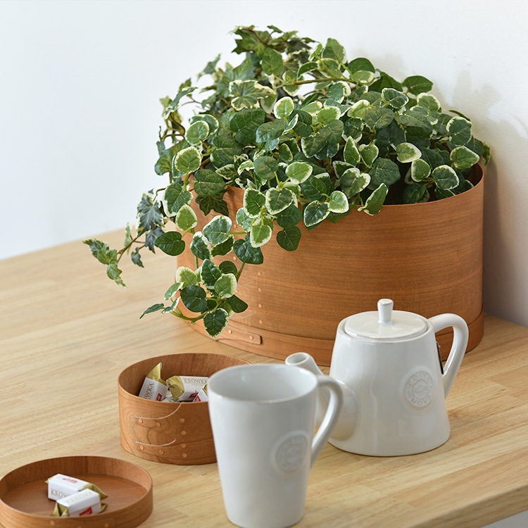 Хܥå L  Ǽܥå ʪ եդ ץ ʥ ̲ ƥꥢ  Ǽ Ȣ Homestead  