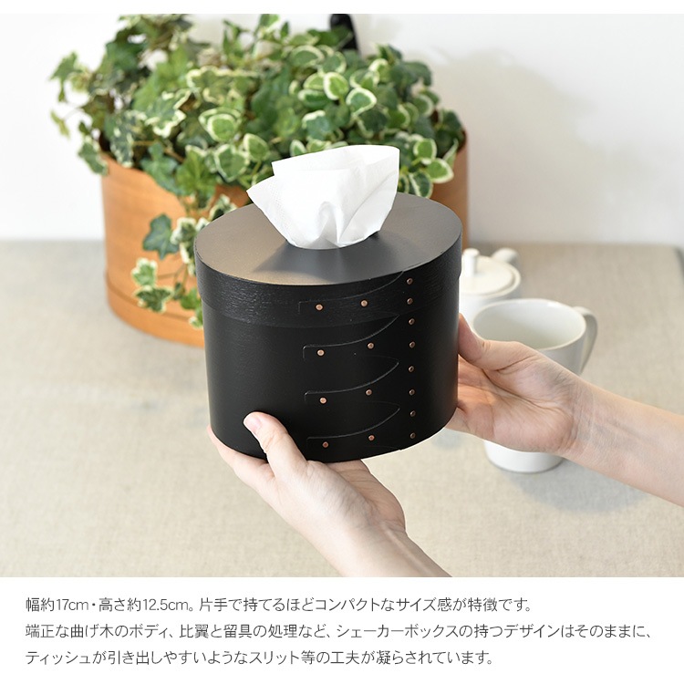  ƥåܥå   Ǽܥå ƥå奱   ץ ʥ ̲ ƥꥢ ե ץ쥼 Homestead  