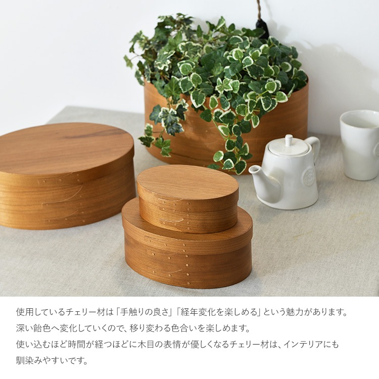 ƥåܥå   Ǽܥå ƥå奱  ץ ʥ ̲ ƥꥢ ե ץ쥼 Homestead  