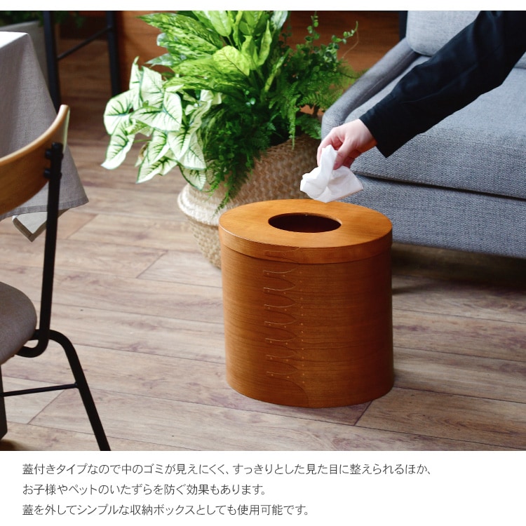 ȥܥå   Ǽܥå Ȣ  ץ ʥ ̲ ƥꥢ ե ץ쥼 Homestead  