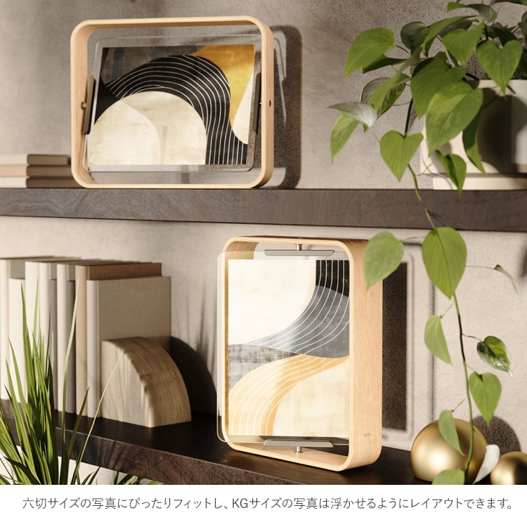 Umbra ����֥� �٥륦�å� �ǥ����ե졼�� 26��31cm  �ե��ȥե졼�� �̿�Ω�� 2�� ������� ���� ϻ�� 6�� KG������ ��Ĺ ���֤� ��Ĺ ���� ����ƥꥢ ��ӥ� ���� �ǥ��� ����� �̲� ����ץ�  
