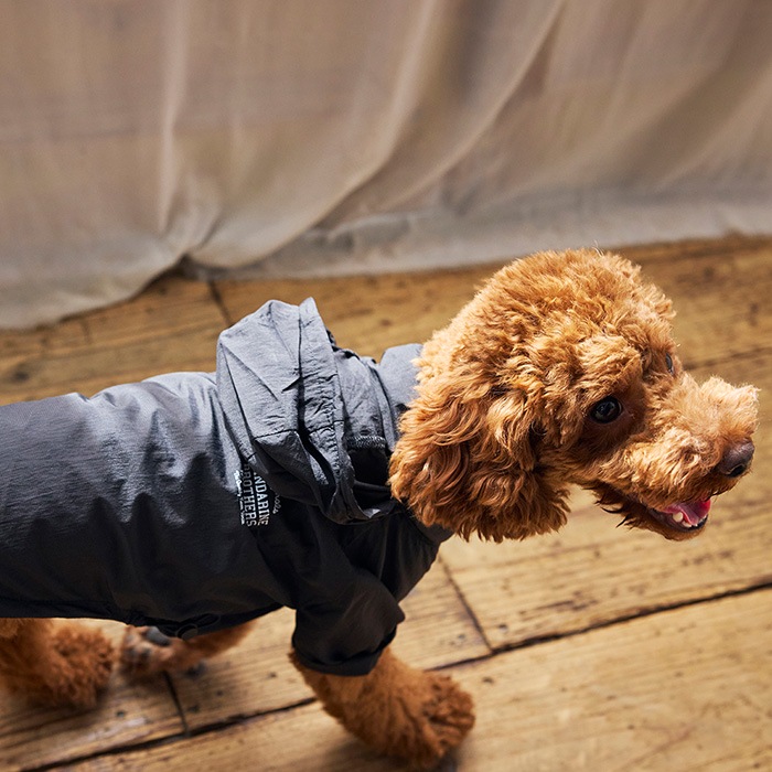 MANDARINE BROTHERS マンダリンブラザーズ ウィンドブレーカー M、MD