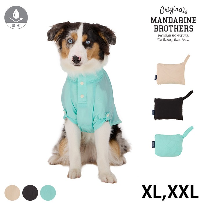 犬田① S5b81cf67b3c742b7a401884ffe86f