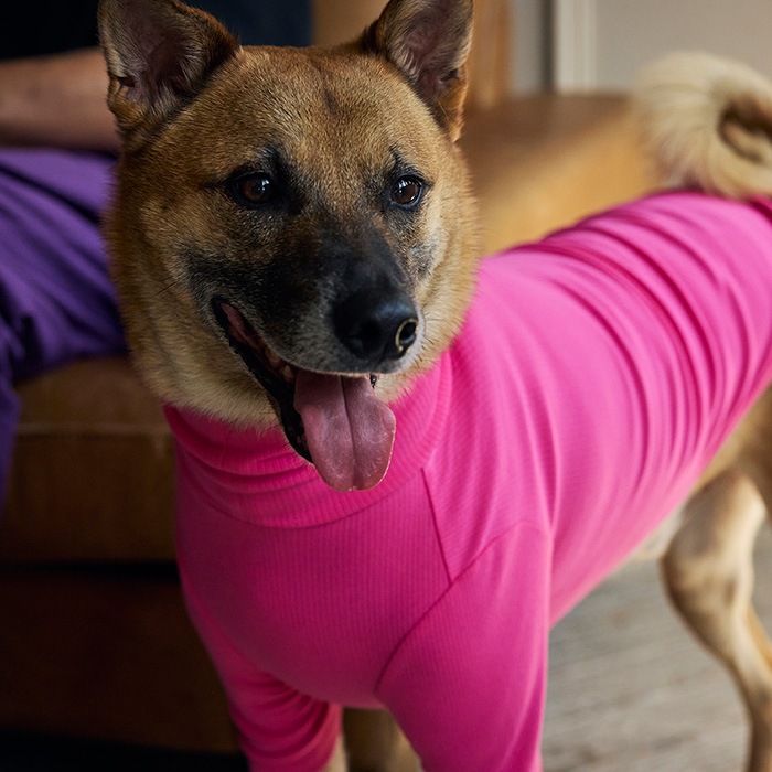 ラフウェア ruffwearのおすすめ人気商品一覧 通販 - Yahoo