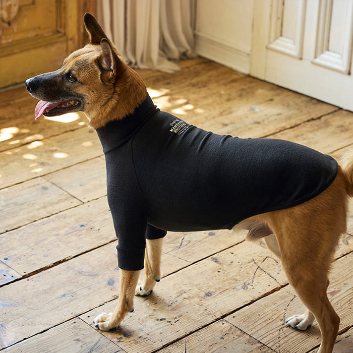 swivel ウェア Beachcroft Outdoor Swivel Lounge Chair | Ashley