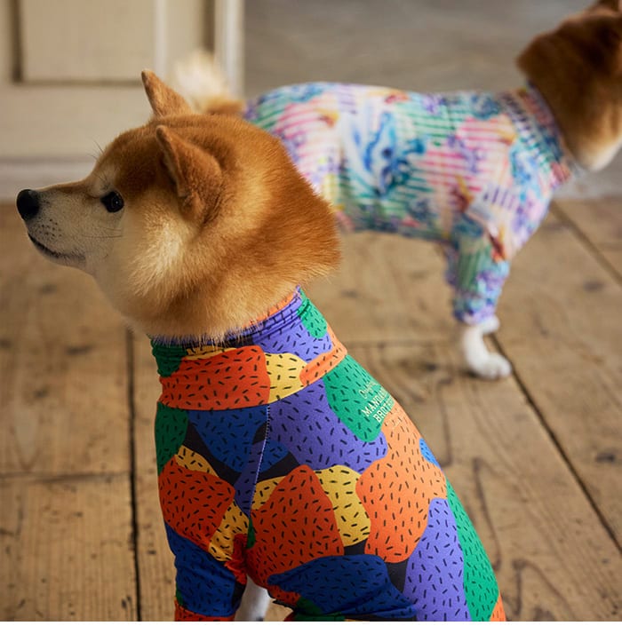 かい様専用ミント5L.ピンク5L.パープル3Lスキンタイトスーツ