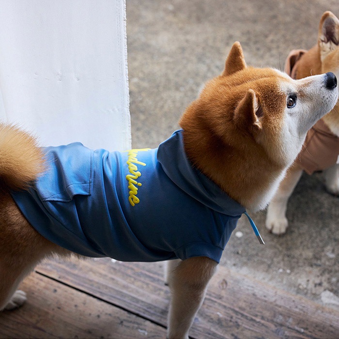 MANDARINE BROTHERS マンダリンブラザーズ シルキーフーディー XS、S