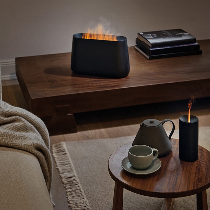 未使用 Stadler Form スタドラフォーム 加湿器 Ben ブラック Stadler