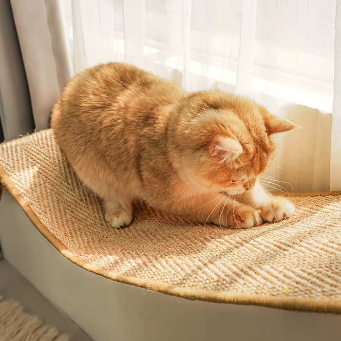MYZOO マイズー Hover キャットハンモック | 商品種別,ペットアイテム