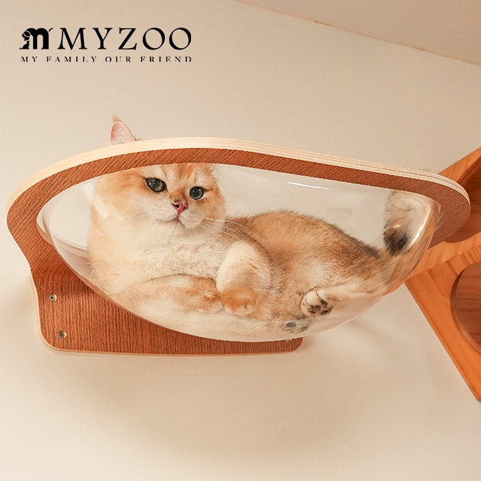  MYZOO �ޥ�����Aura ���ϥ���åȥ٥å�