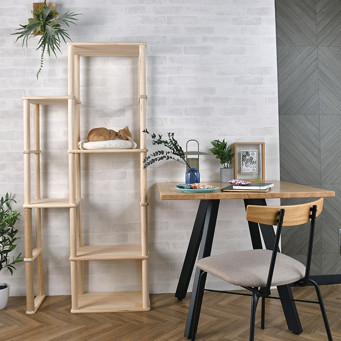 wonder shelf ワンダーシェルフ WSパイン棚板 17×300×300mm 単品