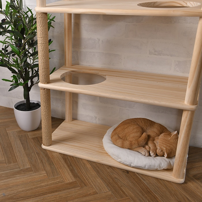wonder shelf ワンダーシェルフ WSパイン棚板 17×300×600mm 単品