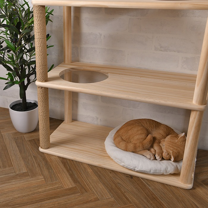 wonder shelf ワンダーシェルフ WSパイン棚板 17×300×600mm 単品