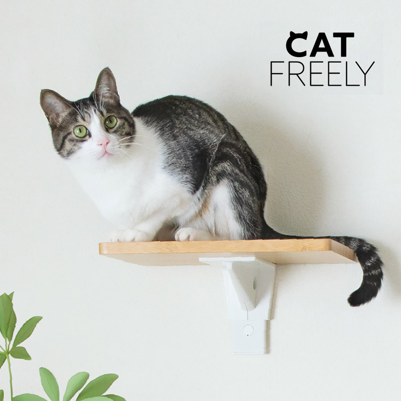  HEIAN SHINDO ʿ�¿�ƼCAT FREELY ����åȥե꡼�꡼ ����åȥ��ƥå� �ۥ磻��
