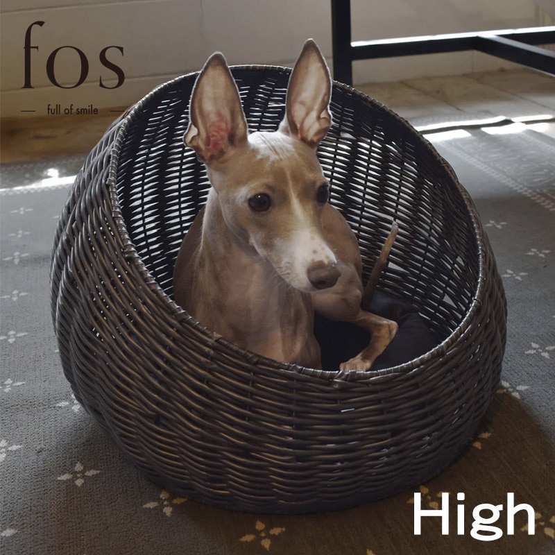 fos���ɥ꡼�٥å� High