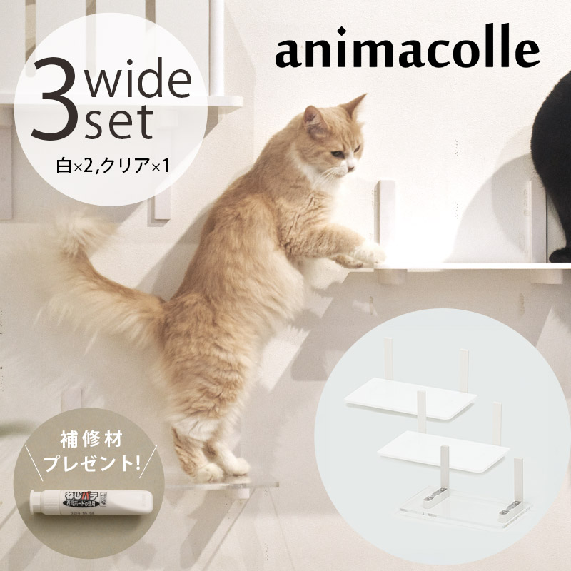 animacolle アニマコレ Catroad+ ワイドステップ 3点セット（ 白2