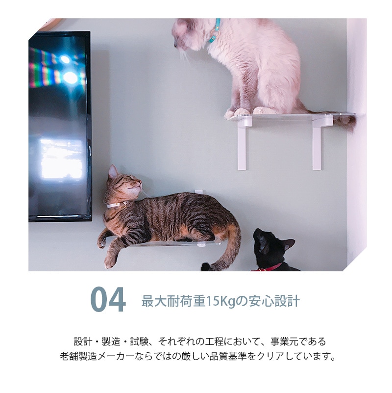 animacolle アニマコレ Catroad+ ワイドステップ 3点セット（ 白2