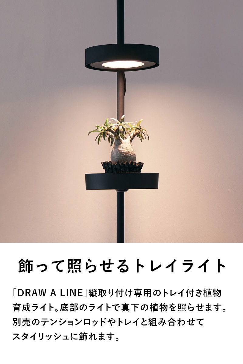 DRAW A LINE ドローアライン 033 トレイライト 単品パーツ | 商品種別