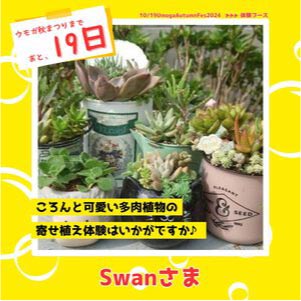 ⥬֥Swan